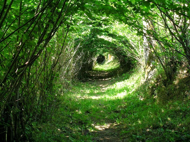 Foto ilusi optik alam