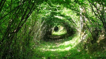 Apakah kamu melihat gambar ini seperti mata raksasa? Foto: Reddit