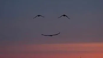 Senyum...Foto: Reddit