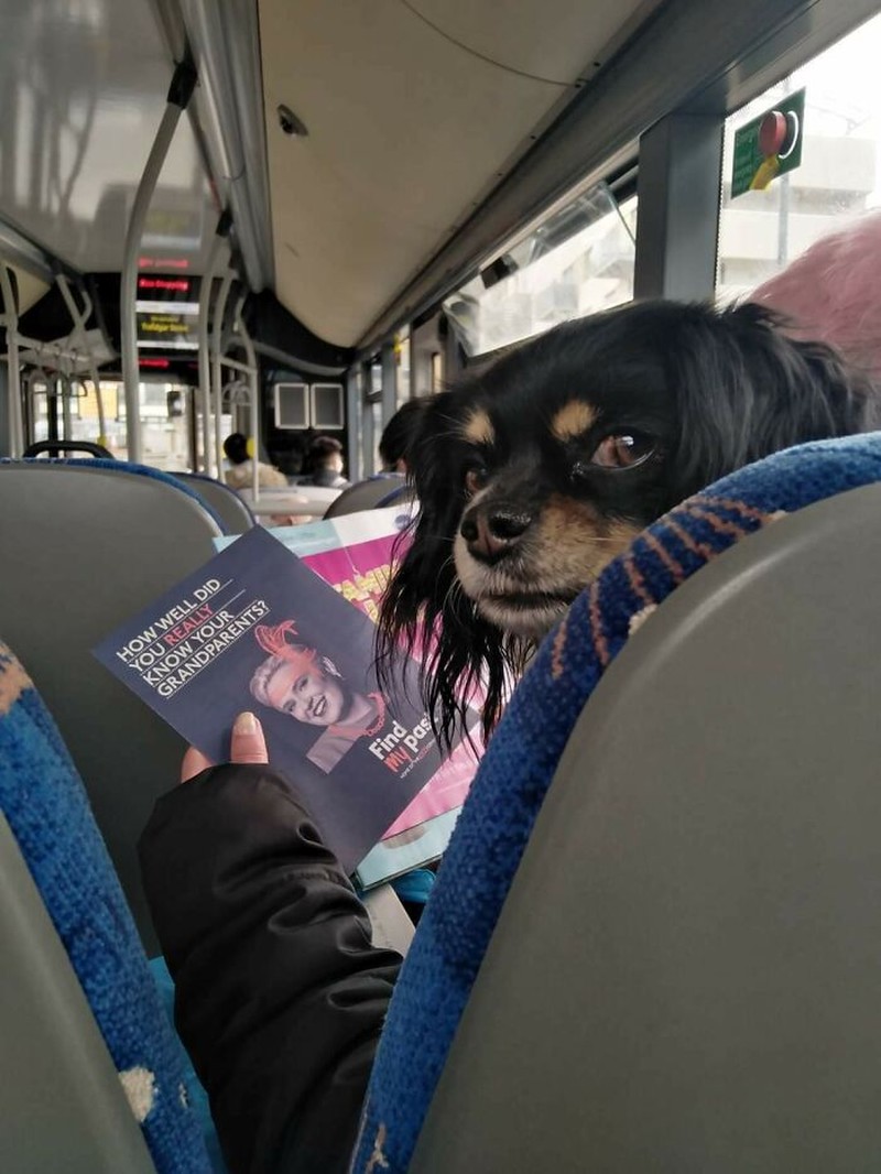 Foto mengecoh mata