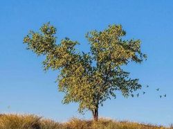 Yakin Tak Terkecoh Saat Melihat Deretan Foto Ini?