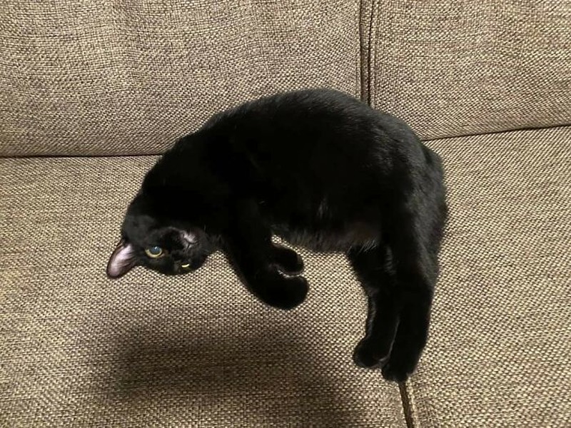 Foto mengecoh mata