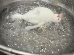 Yakin Tak Terkecoh Saat Melihat Deretan Foto Ini?