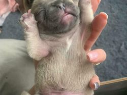 Yakin Tak Terkecoh Saat Melihat Deretan Foto Ini?