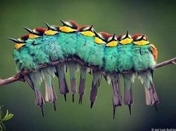 Yakin Melihat Gambar Ini Mata Tak Terkecoh?