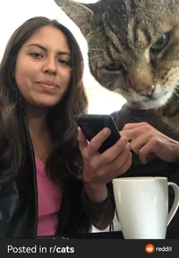 Foto mengecoh mata