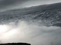 Yakin Tak Terkecoh Saat Melihat Deretan Foto Ini?