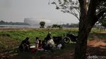 Jelang Grand Launching, Lihat Lagi Megahnya JIS dari Waduk Cincin