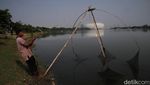 Jelang Grand Launching, Lihat Lagi Megahnya JIS dari Waduk Cincin