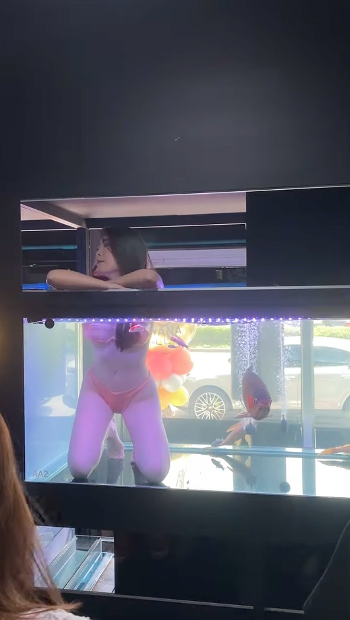 Pembukaan Toko Aquarium Ini Sewa Model Berbikini, Tuai Kritik Dalam video Facebook yang diposting oleh pemilik toko akuarium Ratchatapan Chiaochan, dua wanita berbikini terlihat mengarungi tangki ikan 'mereka sendiri' saat ikan eksotis berenang di sekitar mereka. Hanya lengan dan kepala para model yang berada di atas permukaan air, dengan sisa tubuh mereka berada di bawah air.