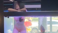 Selain itu ikan yang berada di dalam aquarium juga mampu merasakan emosi, termasuk stres. Menggunakan para model sebagai aksesori cantik dalam tangki kaca sangat membatasi gerakan para ikan, menambah tingkat stres mereka.  