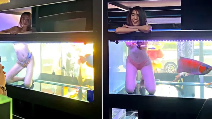 Pembukaan Toko Aquarium Ini Sewa Model Berbikini, Tuai Kritik Dalam video Facebook yang diposting oleh pemilik toko akuarium Ratchatapan Chiaochan, dua wanita berbikini terlihat mengarungi tangki ikan 'mereka sendiri' saat ikan eksotis berenang di sekitar mereka. Hanya lengan dan kepala para model yang berada di atas permukaan air, dengan sisa tubuh mereka berada di bawah air.