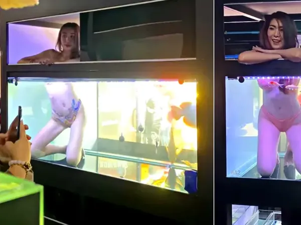 Pembukaan Toko Aquarium Ini Sewa Model Berbikini, Tuai Kritik