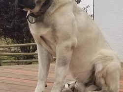 Tes Kejelian Mata, Temukan 10 Hal Tersembunyi di Foto Berikut!