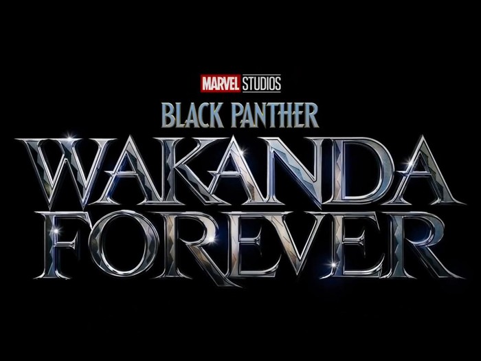 Black Panther; Wakanda Forever