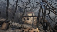 Penampakan salah satu rumah yang turut terbakar akibat kebakaran hutan. REUTERS/Alexandros Avramidis