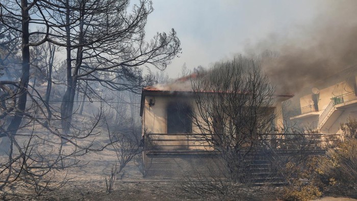 Kebakaran Hutan Hanguskan Sejumlah Rumah di Pulau Lesbos, Yunani Smoke rises as wildfire burns near the village of Vrisa, on the island of Lesbos, Greece July 23, 2022. REUTERS/Elias Marcou