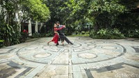 Terdapat kategori dalam ajang ICP yaitu kategori resmi Pista dan Skenario Tango dan tidak resmi senior untuk 50 tahun ke atas, valz, milonga dan jack & jill.