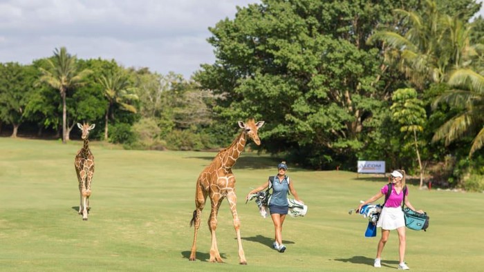 Lapangan golf yang ramah untuk satwa liar