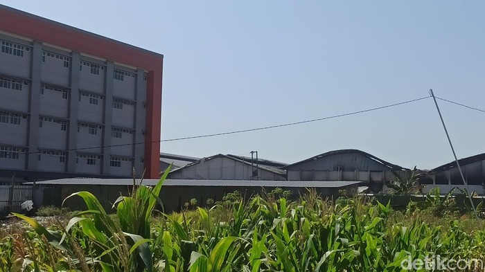 Lokasi kebakaran gudang pupuk Mranggen, Demak, Minggu (24/7/2022).
