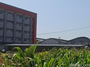 Pemadaman Kebakaran Gudang Mranggen Masih Berlangsung, Kini Tahap Pendinginan