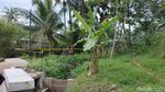 Penampakan Lokasi Temuan Potongan Tangan Diduga Korban Mutilasi di Ungaran