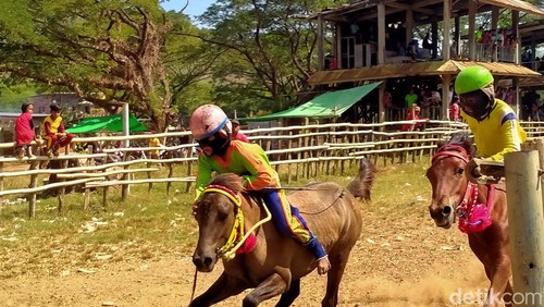 Pacuan kuda di Sumbawa
