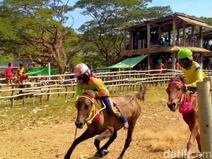 Ada Pro Kontra Eksploitasi Anak, Tradisi Pacuan Kuda Sumbawa Tetap Eksis