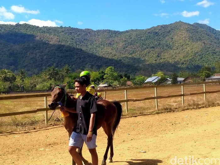 Pacuan kuda di Sumbawa