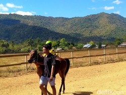 Tradisi pacuan kuda yang sudah melekat di kalangan masyarakat Bima dan Dompu, NTB tetap eksis meski di tengah situasi pro dan kontra tentang adanya aksi eksploitasi anak di dalamnya. Foto: Faruk Nickyrawi/detikcom