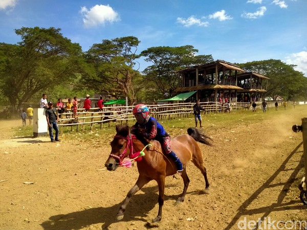 Tradisi pacuan kuda sudah melekat di kalangan masyarakat Bima dan Dompu, Nusa Tenggara Barat (NTB). Kegiatan ini tetap eksis meski ada pro dan kontra mengenai eksploitasi anak di dalamnya. Tradisi pacuan kuda sudah melekat di kalangan masyarakat Bima dan Dompu, Nusa Tenggara Barat (NTB). Kegiatan ini tetap eksis meski ada pro dan kontra mengenai eksploitasi anak di dalamnya.