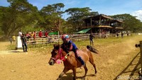 Tradisi pacuan kuda sudah melekat di kalangan masyarakat Bima dan Dompu, Nusa Tenggara Barat (NTB). Kegiatan ini tetap eksis meski ada pro dan kontra mengenai eksploitasi anak di dalamnya.