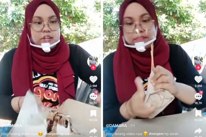Penjual Makanan Viral di TikTok