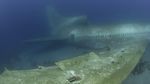 Penampakan Pesawat yang Menakutkan di Kedalaman Laut Merah