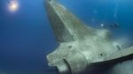 Penampakan Pesawat yang Menakutkan di Kedalaman Laut Merah