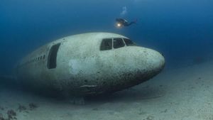 Penampakan Pesawat yang Menakutkan di Kedalaman Laut Merah