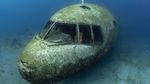 Penampakan Pesawat yang Menakutkan di Kedalaman Laut Merah