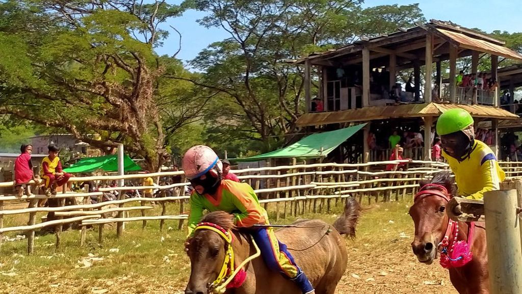 Penghobi Pacuan Kuda di NTB Tak Terima Joki Cilik Dihapus
