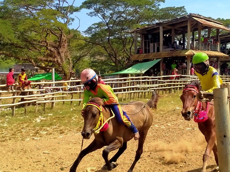 Suasana arena pacuan Kuda Lemba Kara, Lepadi pada detikBali Minggu (24/7/2022).