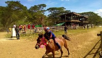 Suasana latihan (training kuda) di arena pacuan kuda Lemba Kara, Lepadi Dompu NTB. Foto: Faruk Nickyrawi