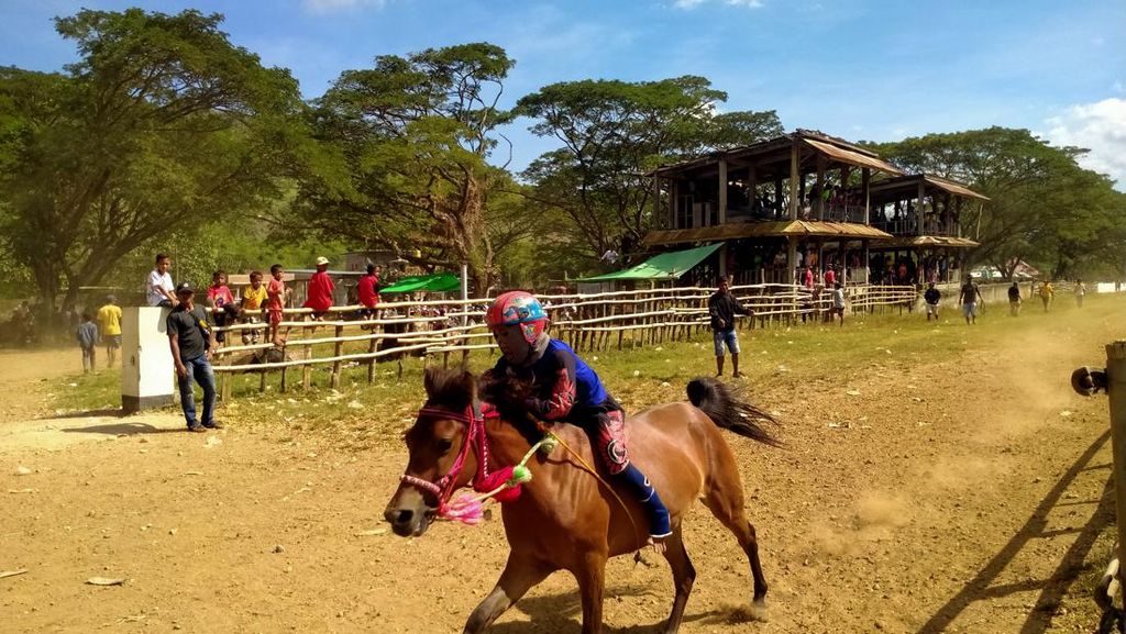 Pacuan Kuda di NTB Tetap Eksis di Tengah Pro Kontra Eksploitasi Anak