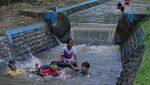 Aliran Sungai Ini Jadi Wisata Gratis di Banyuwangi, Seger Benerrr...