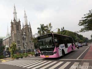 Cegah Pelecehan Seksual, TransJ Tambah 10 Unit Bus Pink Khusus Wanita