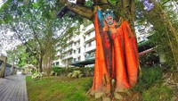 Seni mural tak melulu menggunakan kanvas berupa tembok. Di Chengdu, kanvas yang digunakan berupa pohon dengan gambar penari bertopeng.