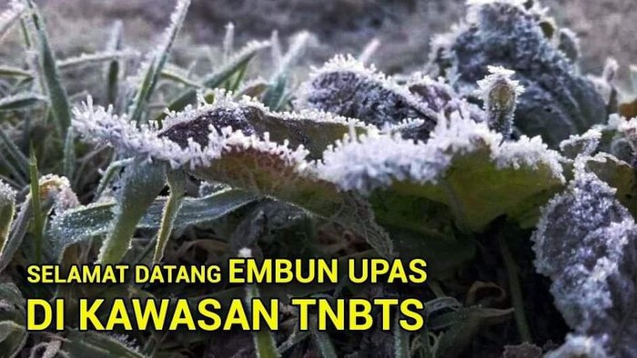 Embun upas di Bromo