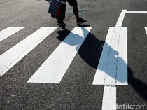 Zebra Cross: Sejarah, Fungsi, Serta Aturan Pemasangan dan Penggunaannya