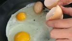 Jeruk hingga Telur, Ini 10 Makanan Beranak yang Bikin Untung