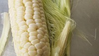 Usai kupas jagung, netizen ini temukan jagung mini yang menempel di dalam jagung besar yang baru saja dikupasnya. Foto: Site News