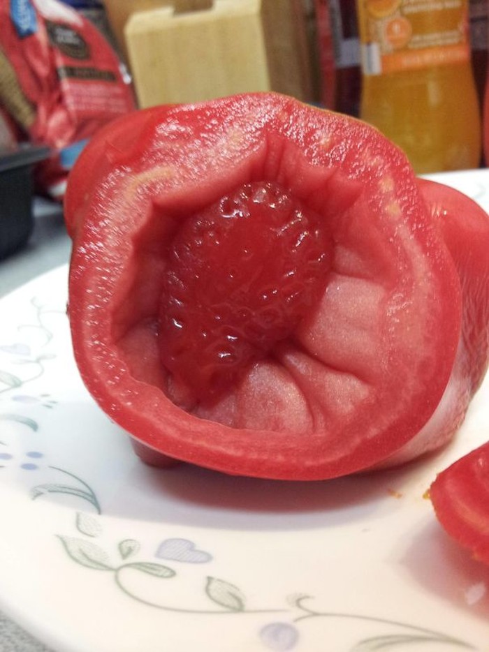 Jeruk hingga Telur, Ini 10 Makanan ‘Beranak’ yang Bikin Untung Jeruk hingga Telur, Ini 10 Makanan ‘Beranak’ yang Bikin Untung