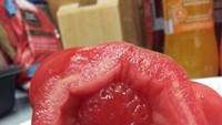 Petani yang satu ini sempat dibuat bingung, karena ketika ia membelah tomat hasil kebunnya. Ia justru menemukan buah strawberry yang tumbuh di dalamnya. Foto: Site News